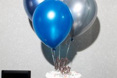 IMG_4331