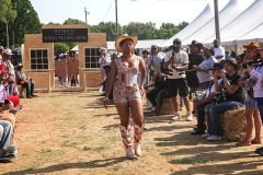 IMG_4050-2