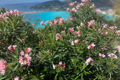 access lauren ig post (4 x 5 in) - 19