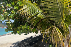 access lauren ig post (4 x 5 in) - 29