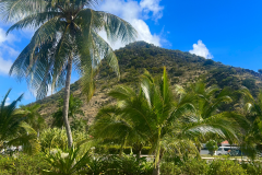 access lauren ig post (4 x 5 in) - 33