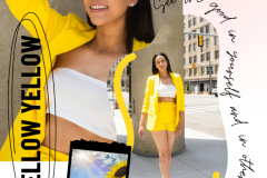 Access Lauren Mellow Yellow Mood Board - 1