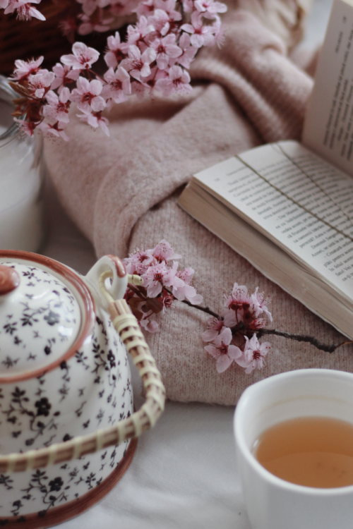 Inside My Diary: The Power of Saying No