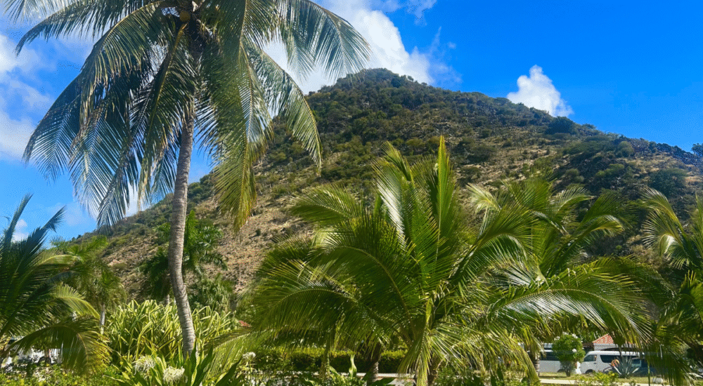 Short Cruise Stop, Big Thrill: Ziplining in St. Maarten