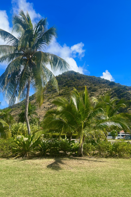 Short Cruise Stop, Big Thrill: Ziplining in St. Maarten